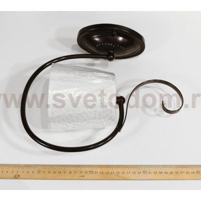 Светильник настенный бра Lumion 3077/1W IBBI