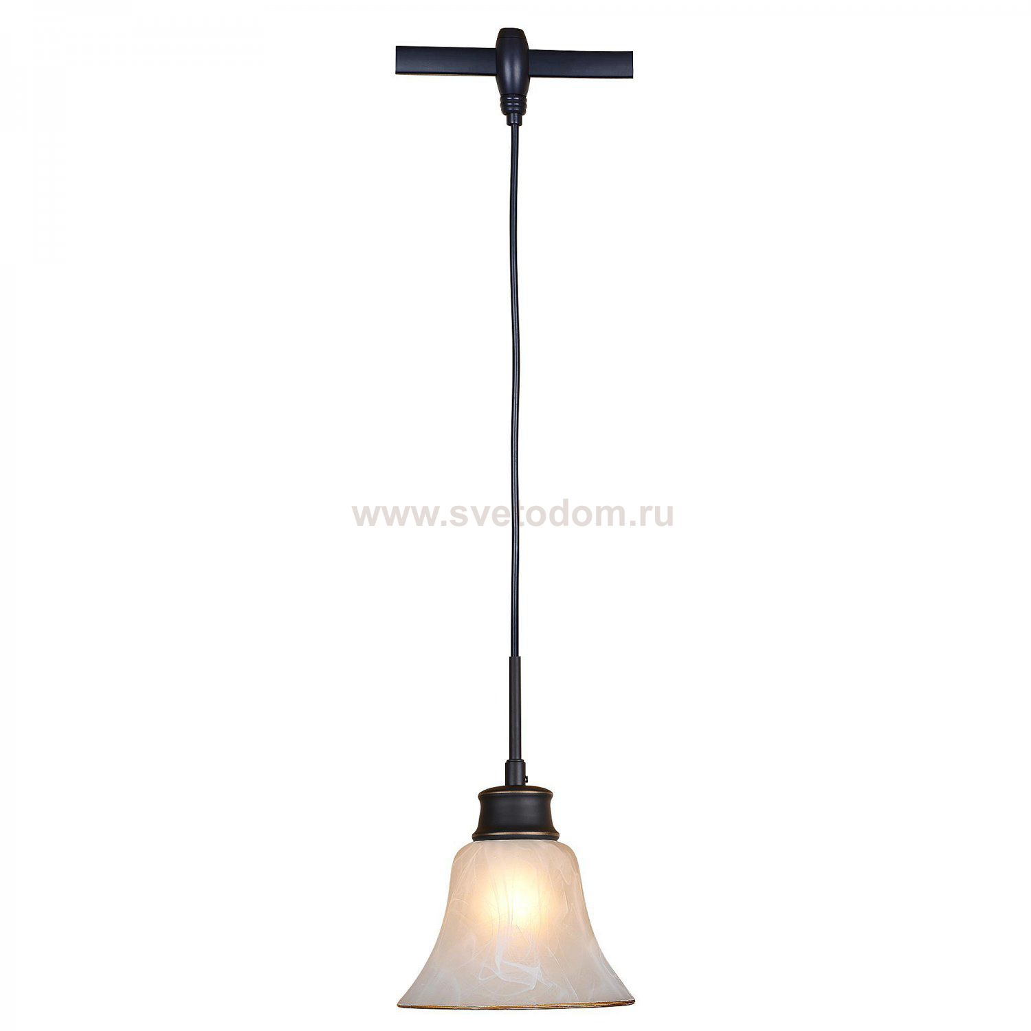 Трековый светильник Citilux CL560215 Классик