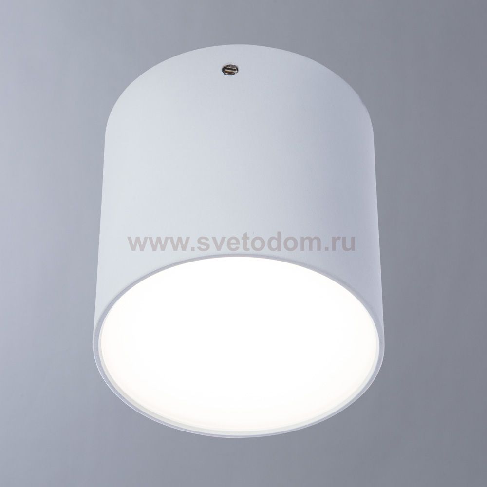 Светильник потолочный Divinare 1463/03 PL-1 белый TUBO