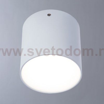 Светильник потолочный Divinare 1463/03 PL-1 белый TUBO