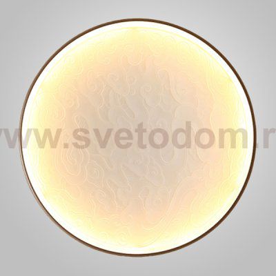 Настенный светодиодный светильник RODA WALL D60 Acrylic ImperiumLoft 249150-26