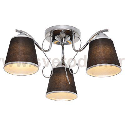 Потолочный светильник Экономсвет 2495YX/3CR BK