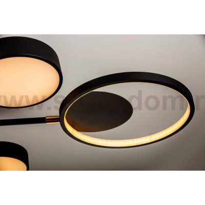 Потолочный светильник LED4U L250-6