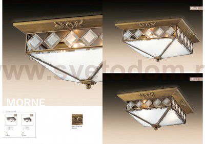 Потолочный светильник Odeon light 2544/2 MOME