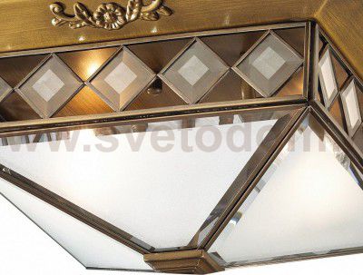 Потолочный светильник Odeon light 2544/2 MOME