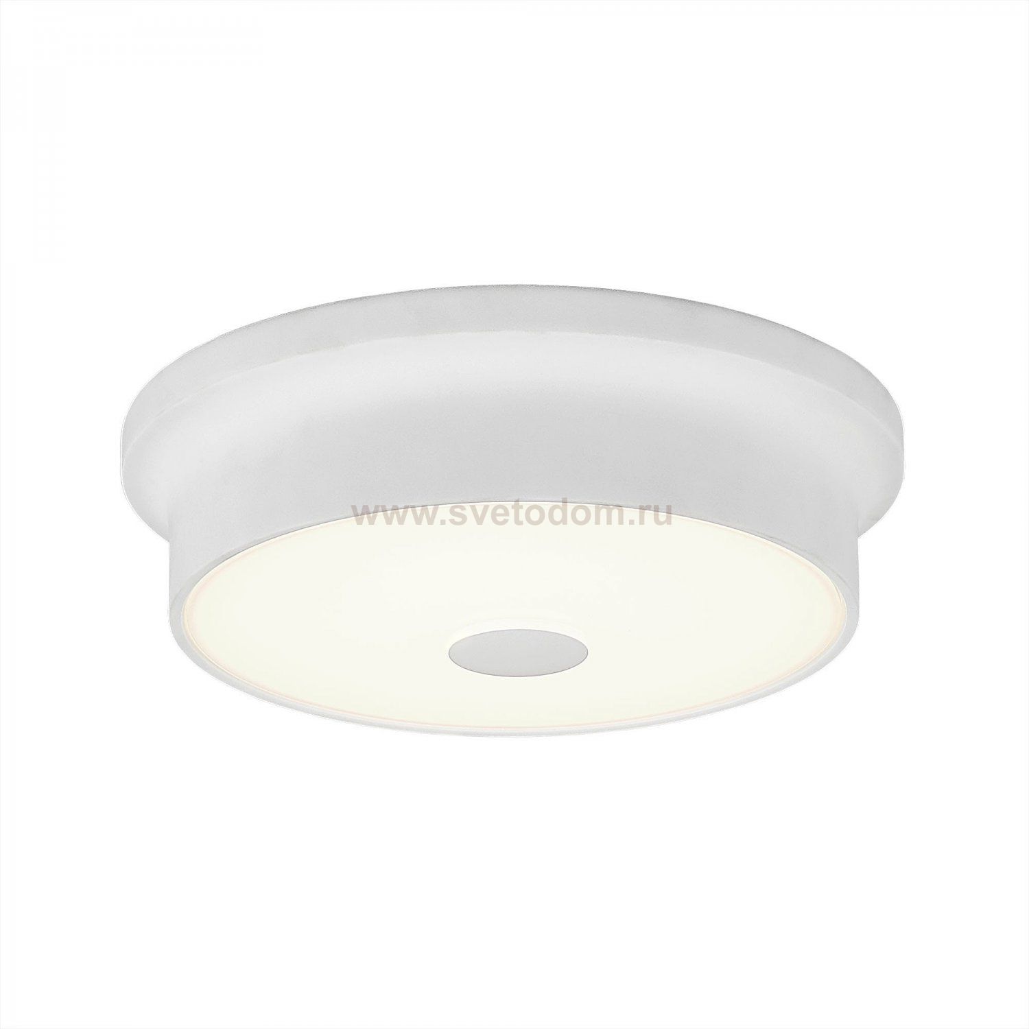 Светильник накладной Citilux CL706210 Фостер-2