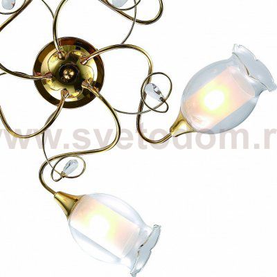 Светильник потолочный Arte lamp A9289PL-5GO Mughetto