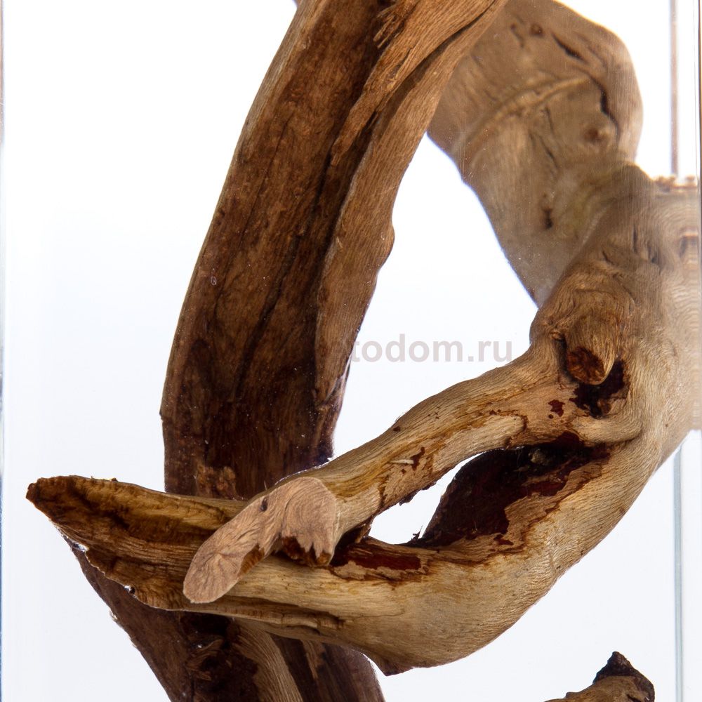 Светильник подвесной Divinare 3200/09 SP-1 SELVA