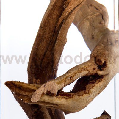 Светильник подвесной Divinare 3200/09 SP-1 SELVA