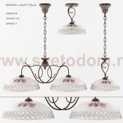 Потолочный светильник Odeon light 2560/1c VELA