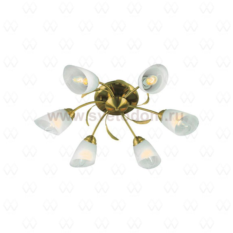 Люстра Mw light 256016206 Флора
