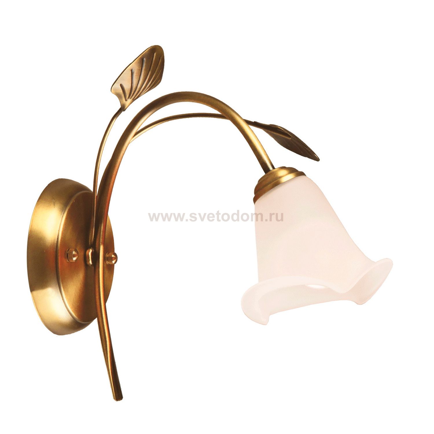 Светильник настенный бра Mw light 256026001 Флора