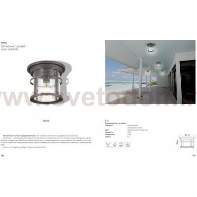 Уличный потолочный светильник Odeon light 4044/1C VIRTA