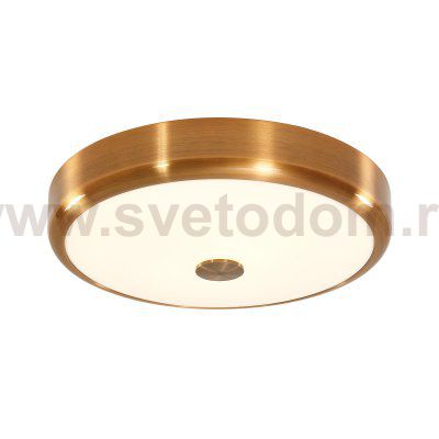 Светильник диодный 30Вт Citilux CL706132 Фостер-1