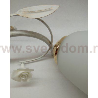 Люстра на 5 ламп Colosseo 73039/5C