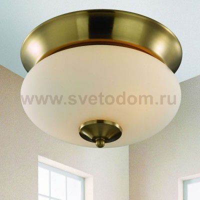 Светильник потолочный Favourite 2608-2C Isola