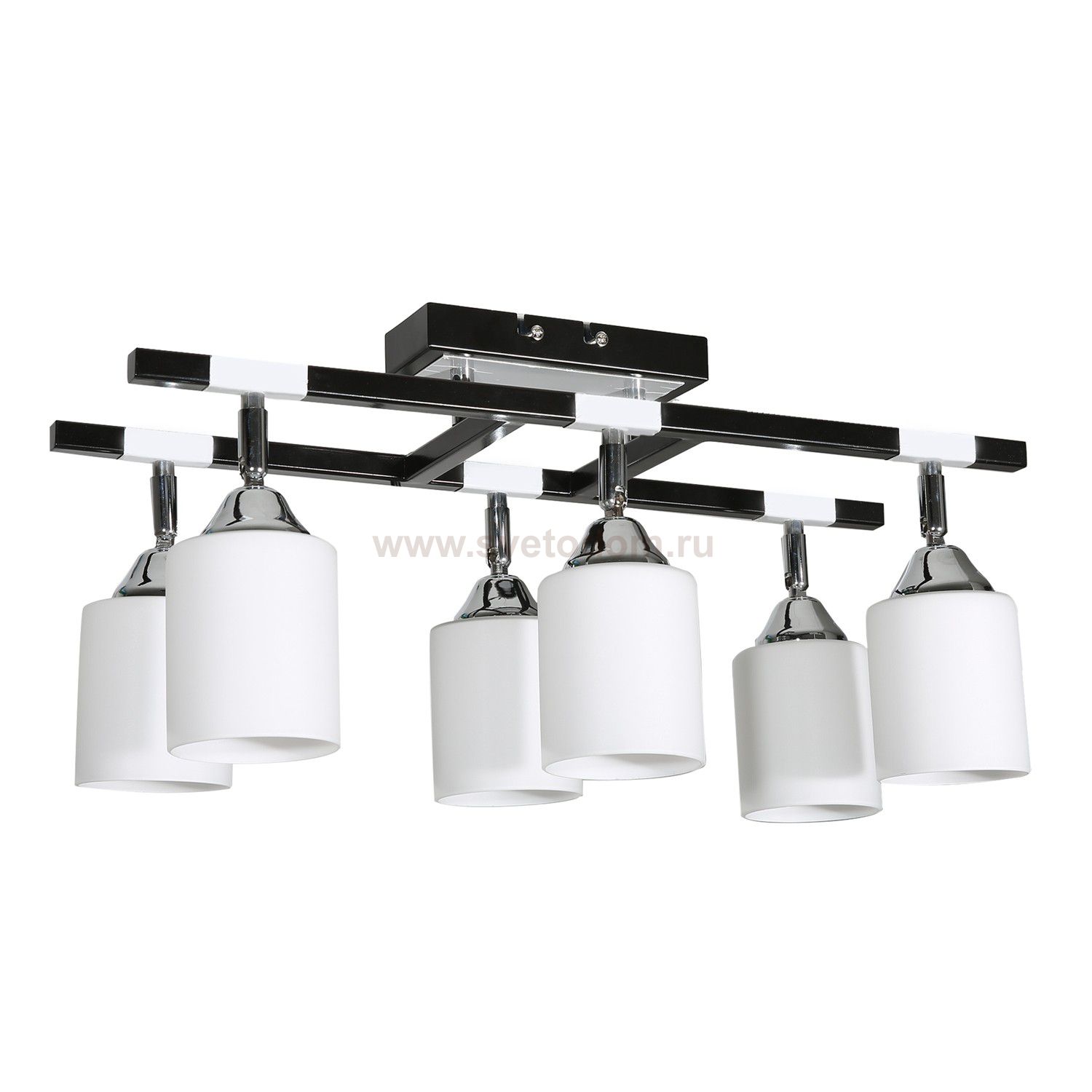 Потолочный светильник Экономсвет 2609/6 BK+CR MK