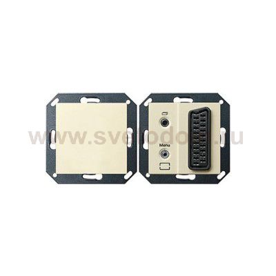 Gira S-55 Крем глянц ТВ-шлюз TV-Gatteway (G261001)