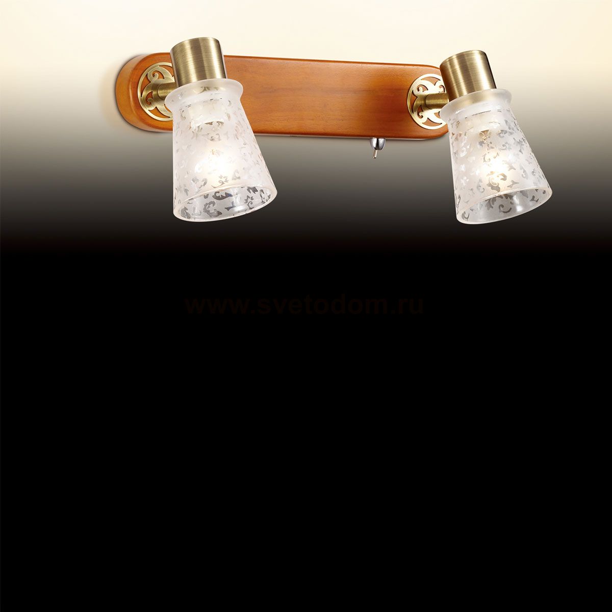 Светильник поворотный спот Odeon light 2614/2W Blanca