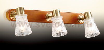 Светильник поворотный спот Odeon light 2614/3W Blanca