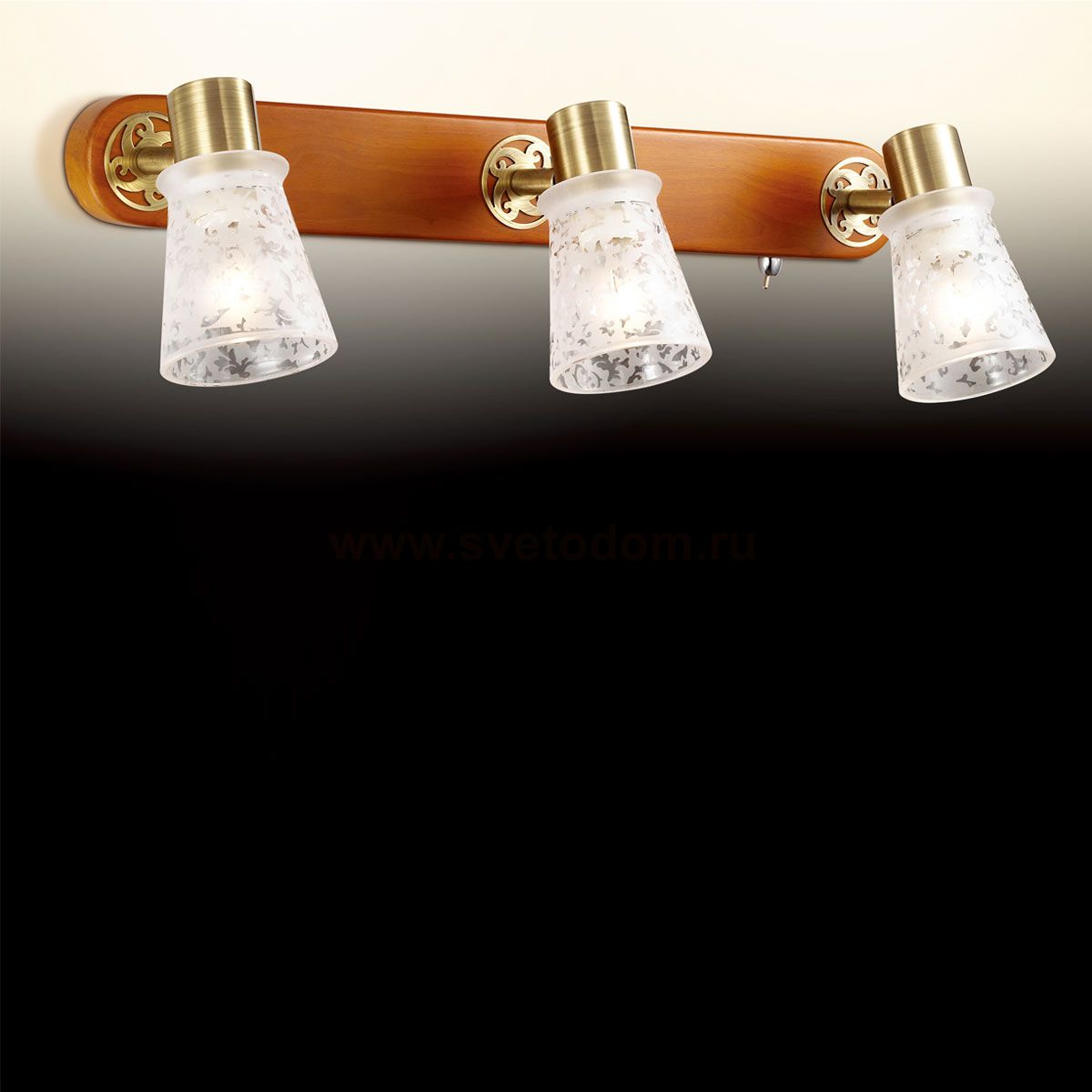 Светильник поворотный спот Odeon light 2614/3W Blanca