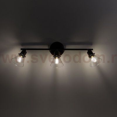 Спот поворотный Citilux CL564531 Бисмарк