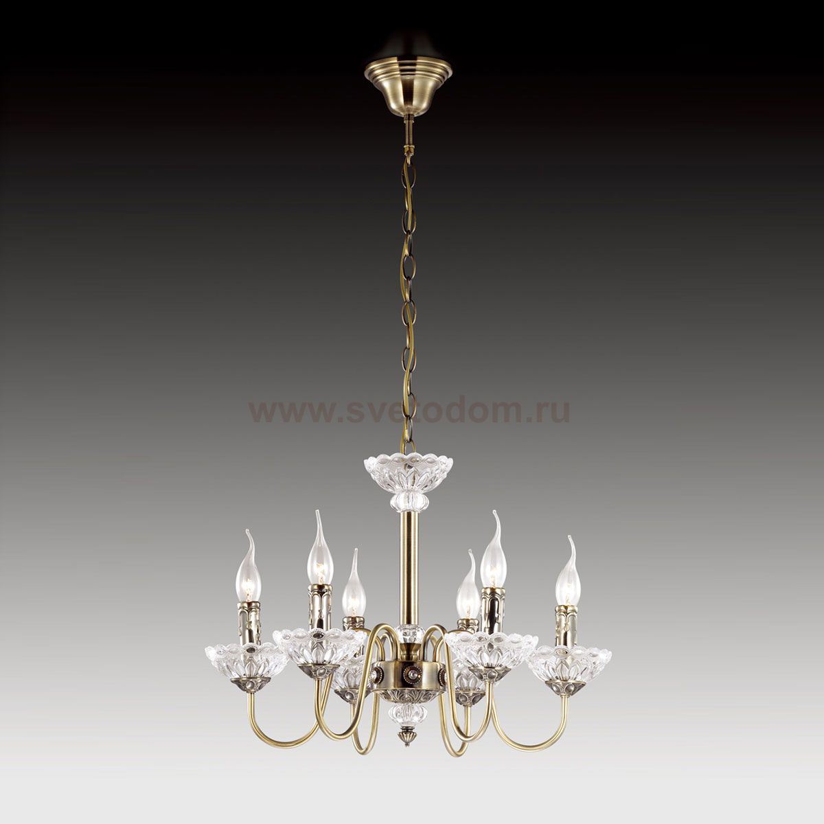 Люстра подвесная Odeon light 2643/6 Deva