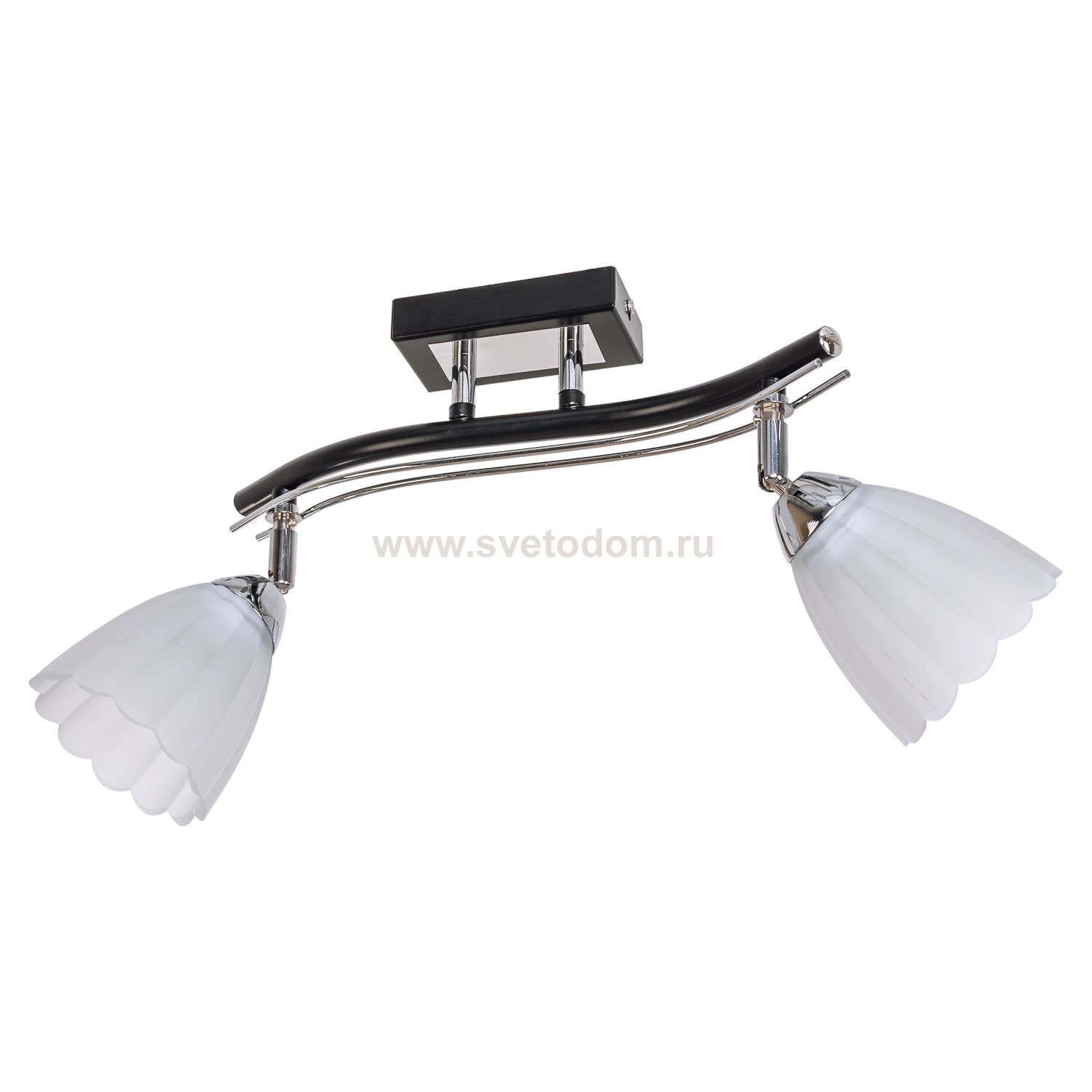 Потолочный светильник Экономсвет 26592/2BK CR