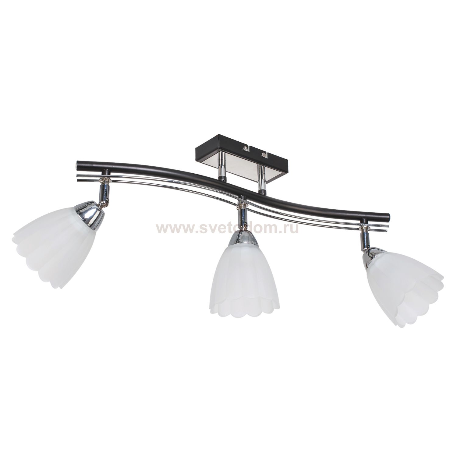 Потолочный светильник Экономсвет 26592/3BK CR