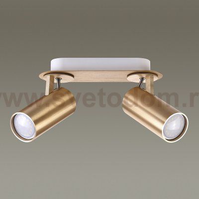 Светильник потолочный Odeon light 3876/2C KIKO