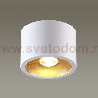 Потолочный накладной светильник Odeon light 3877/1CL GLASGOW