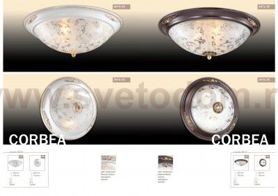 Настенно - потолочный светильник Odeon light 2670/2C CORBEA