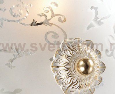 Настенно - потолочный светильник Odeon light 2670/2C CORBEA