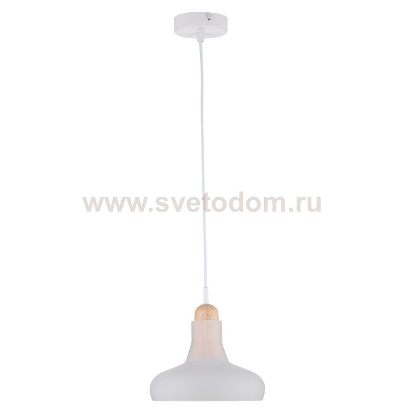 Светильник подвесной Maytoni P016PL-01W