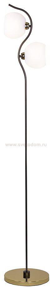 Светильник Velante 269-305-02