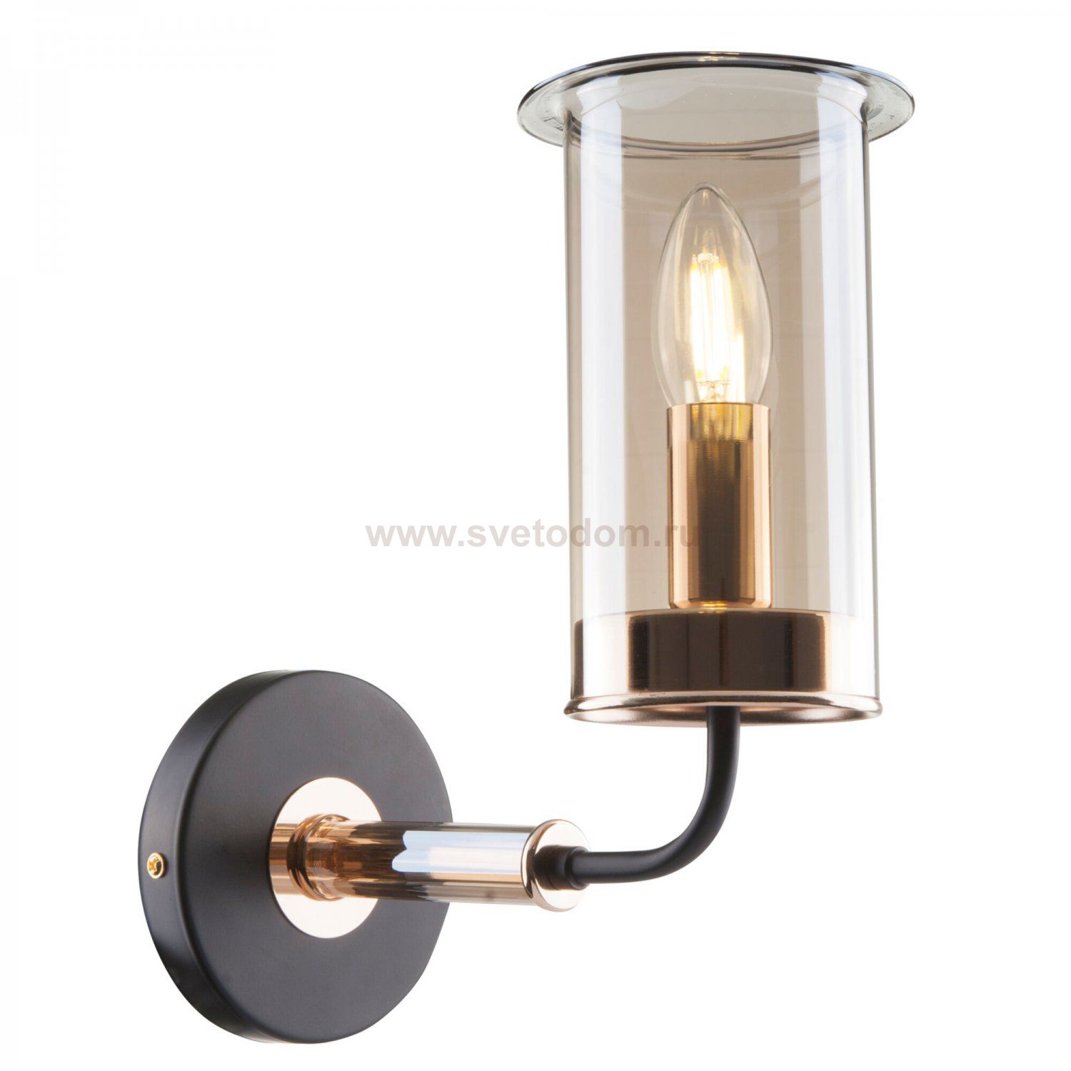 Настенный светильник бра Freya FR5029WL-01B Tera