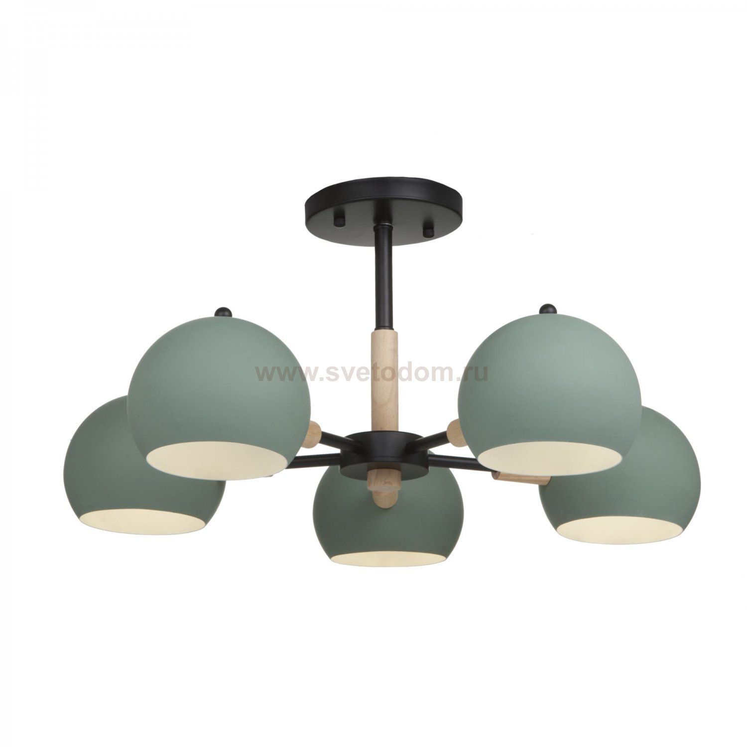 Потолочный светильник Freya FR5032CL-05B Trisha