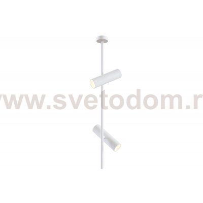 Потолочный светильник Maytoni C021CL-02W Elti