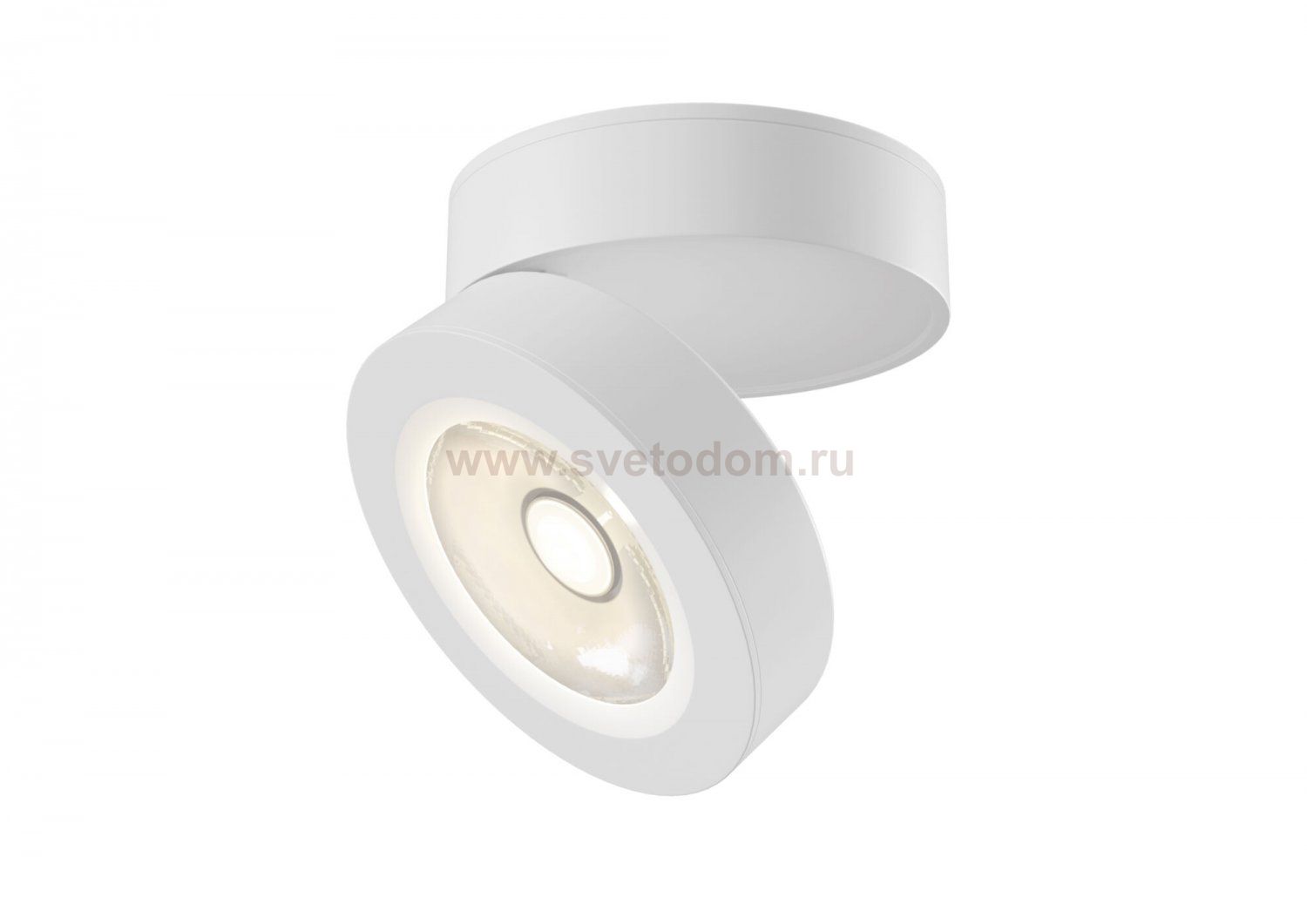 Потолочный светильник Maytoni C022CL-L12W Alivar