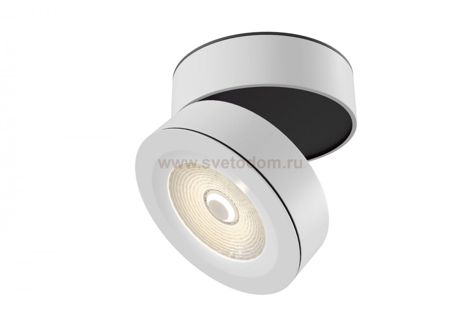 Потолочный светильник Maytoni C023CL-L20W Treviso