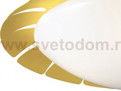 Светильник настенно-потолочный Odeon light 2753/3C ZITA