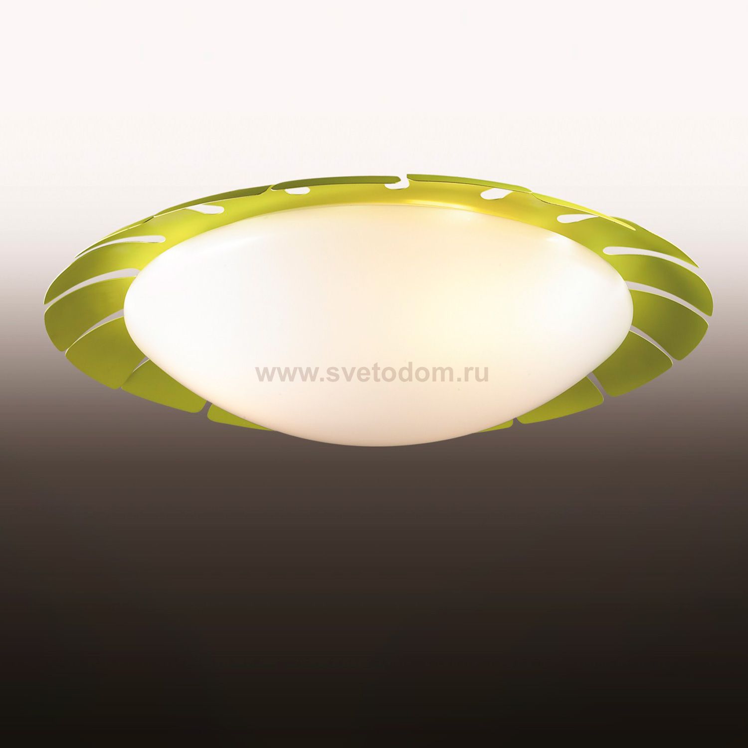 Светильник настенно-потолочный Odeon light 2754/3C ZITA