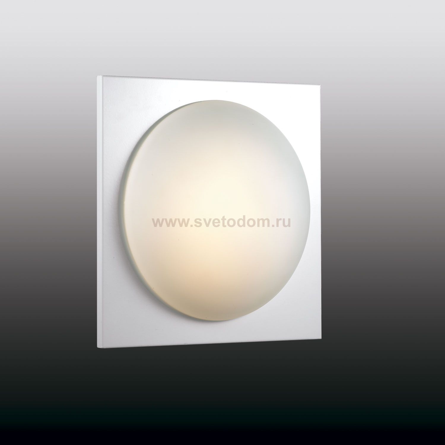 Светильник настенно-потолочный Odeon light 2762/1C BRIDO