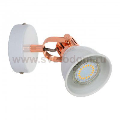 Спот Spot Light Anita 2766102