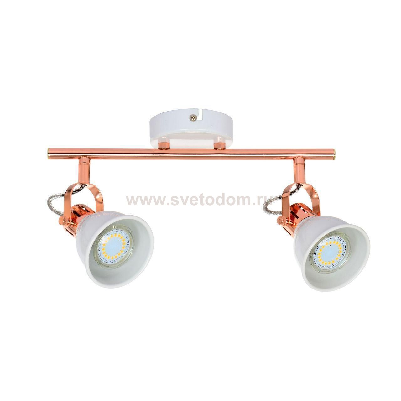 Спот Spot Light Anita 2766202