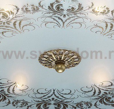 Люстра потолочная Odeon light 2782/4C ASTER