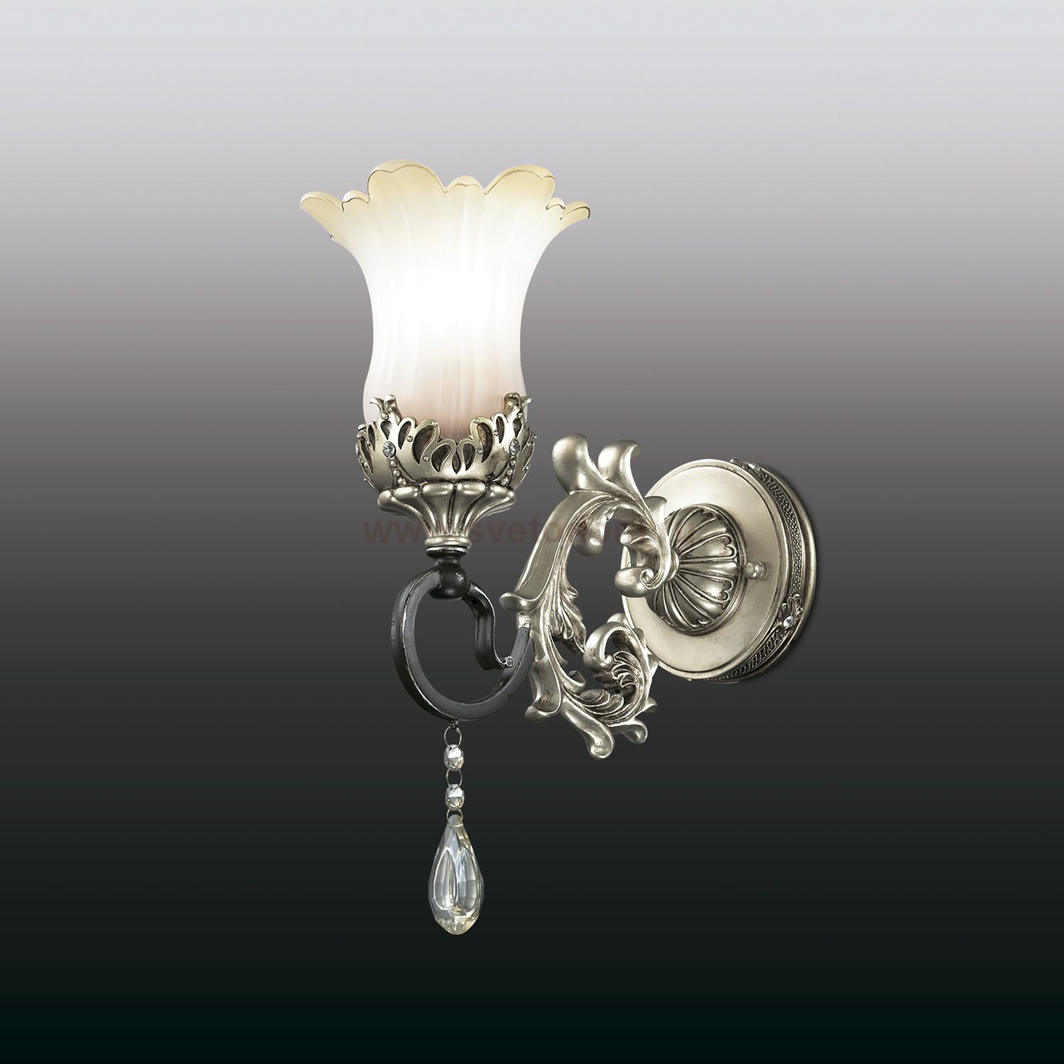 Светильник настенный бра Odeon light 2801/1W TAKALA