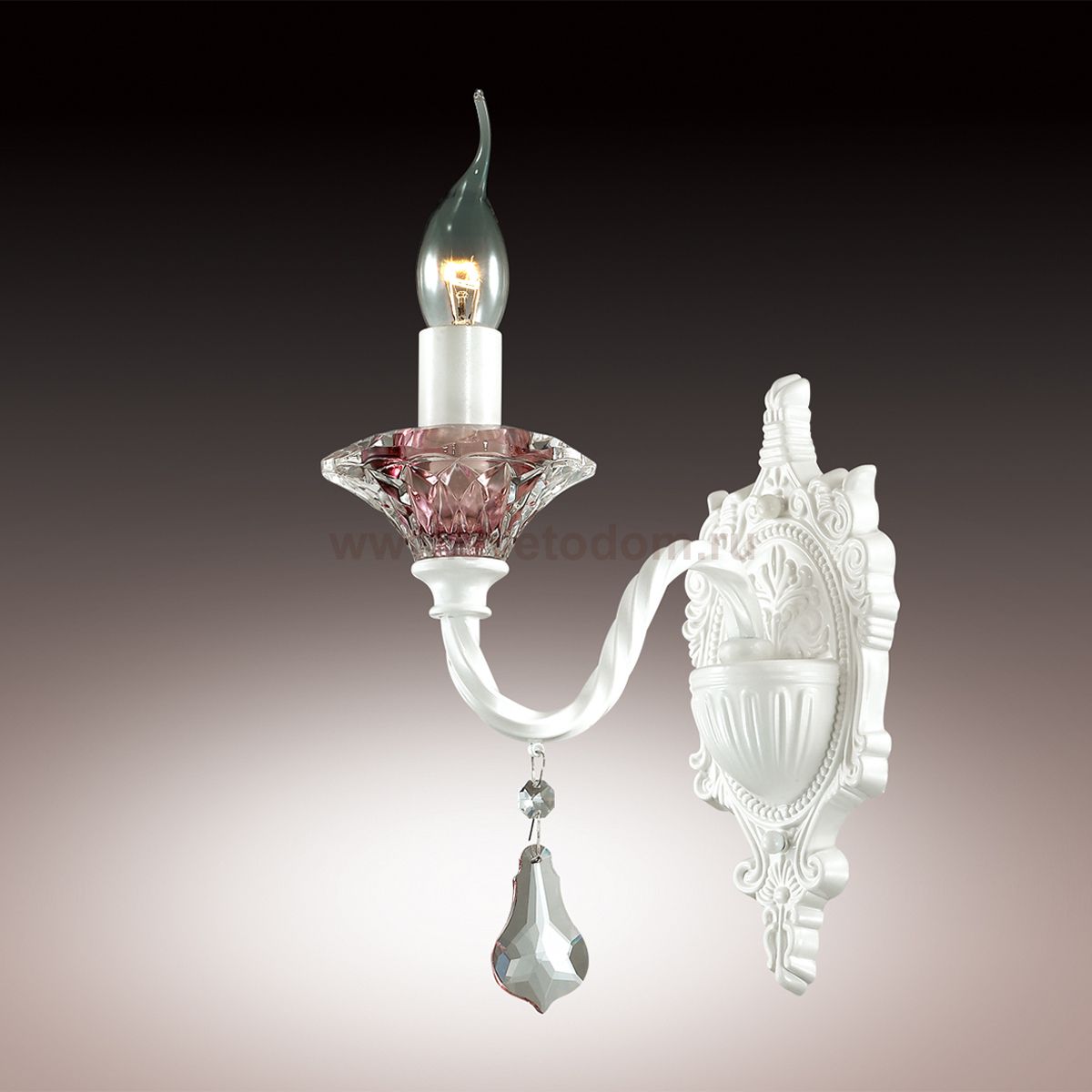 Светильник настенный бра Odeon light 2888/1W GRASA