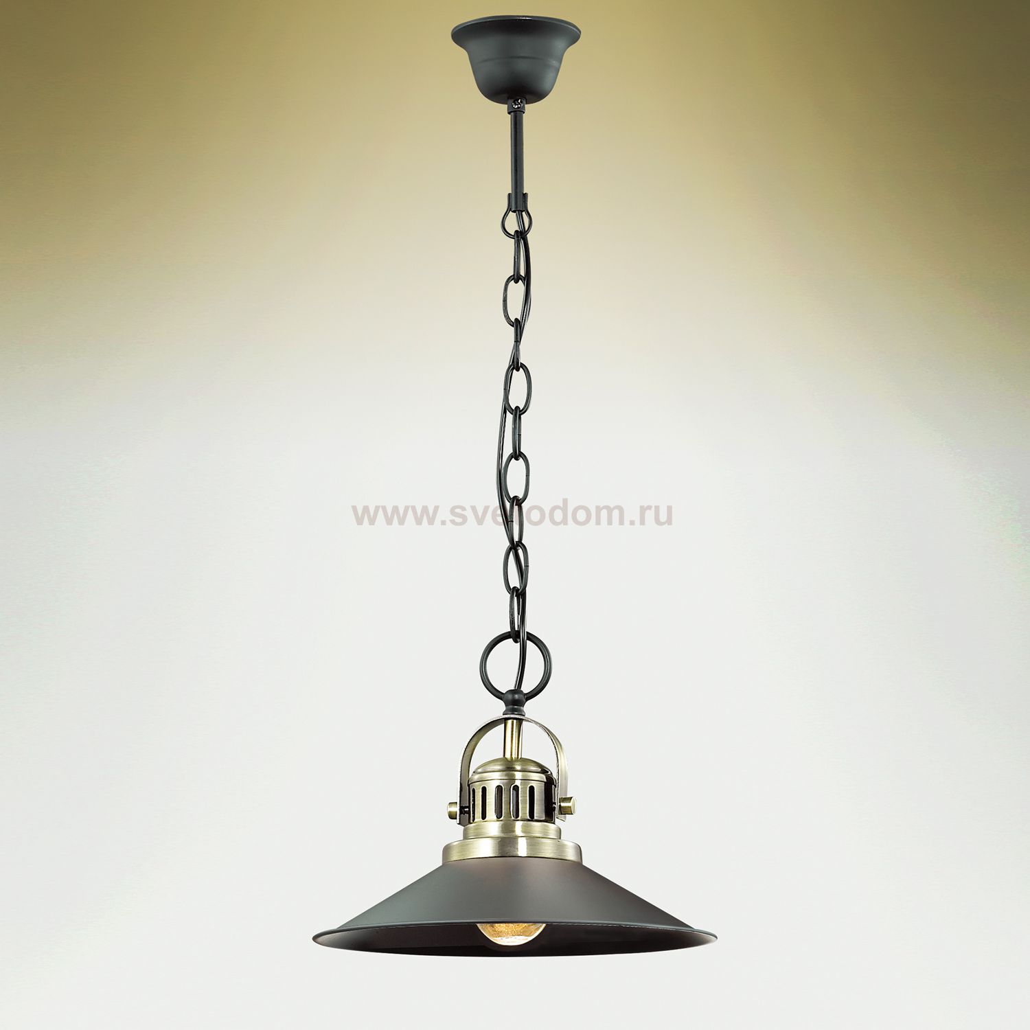 Светильник подвесной Odeon light 2898/1 LATURA