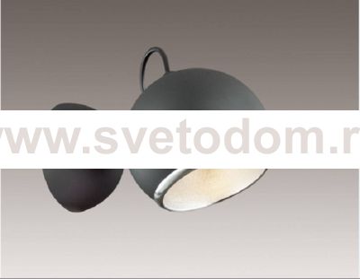 Светильник настенный бра Odeon light 2904/1W BULA